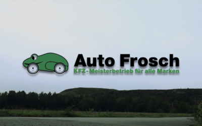 Auto Frosch Kamp-Lintfort