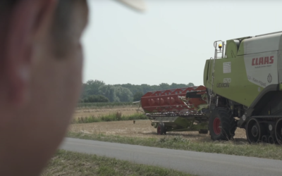 Landwirtschaftliche Hofmolkerei Heesen